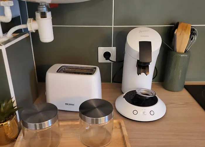 Renove Confort - Au Pied Des Pyrenees Loures-Barousse